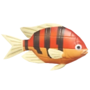 Peixe-palhaço de Blocos Vermelho