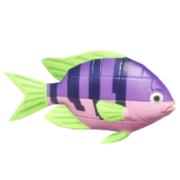 Peixe-palhaço de Blocos Roxo