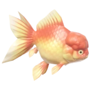 Peixe-dourado-leão
