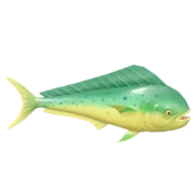 Dourado-do-mar