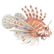 Peixe-leão
