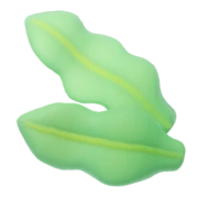 Wakame