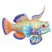 Peixe-mandarim
