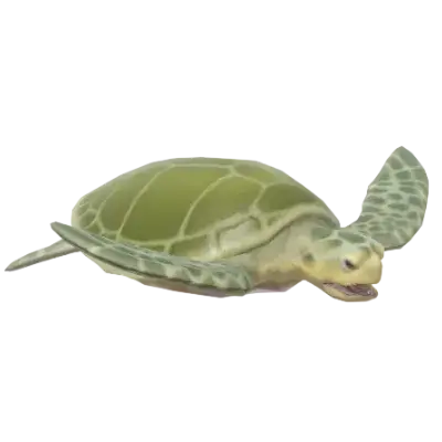 Tartaruga-oliva