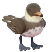 Moleiro-pomarino