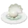 Bolo de Pérola de Concha