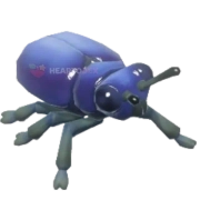 Besouro-da-asclépia-azul